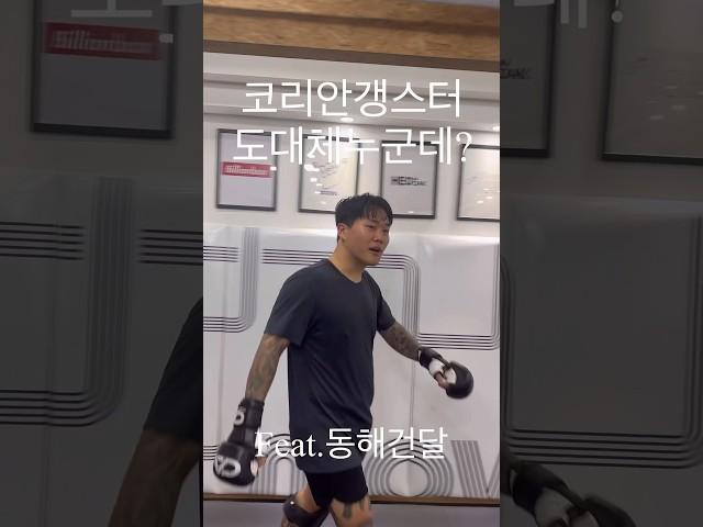 동해건달(파이터100) 코리안갱스터 누군데?