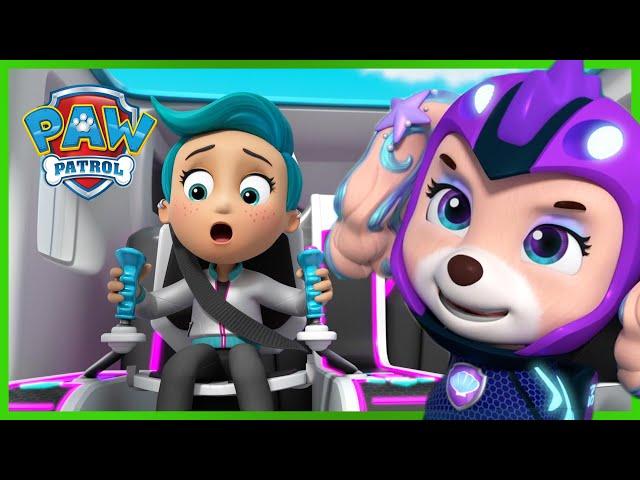 Tutte le zampe sul ponte - PAW Patrol I cuccioli Episodi Italiano