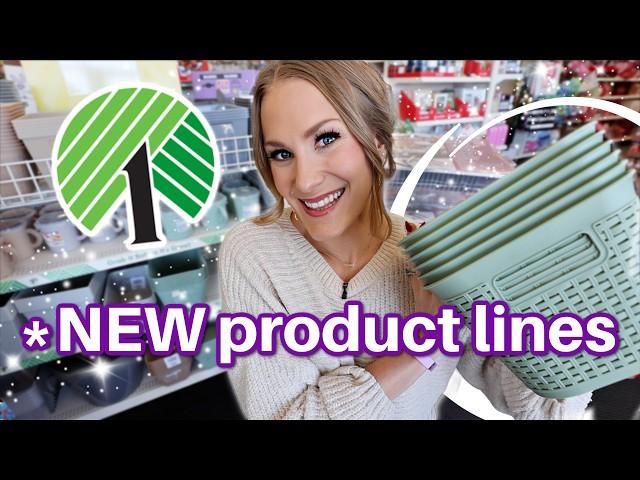 *BRAND NEW* DOLLAR TREE ORGANIZATION product lines for 2025! 