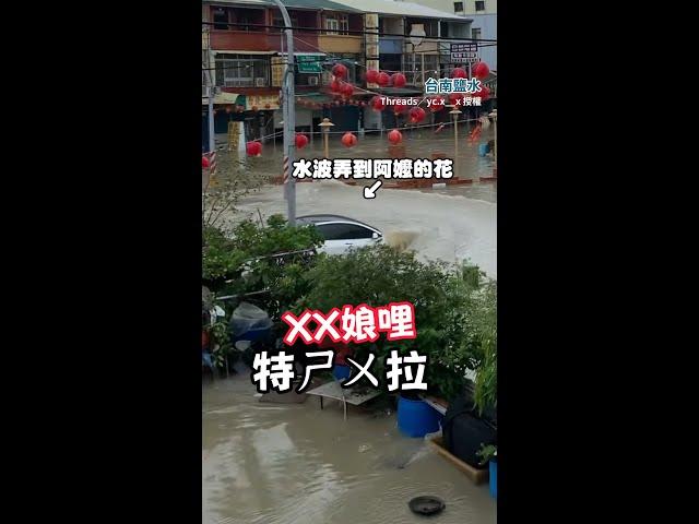 淹水 #特斯拉 開過去水波弄倒阿嬤的花！阿嬤氣尬爆粗口 #台南鹽水 #Shorts