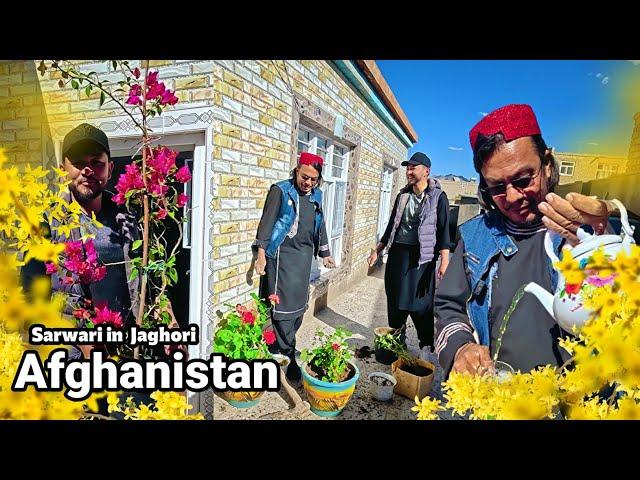 Mr. Sarvari's farming in Jaghori Afghanistan 