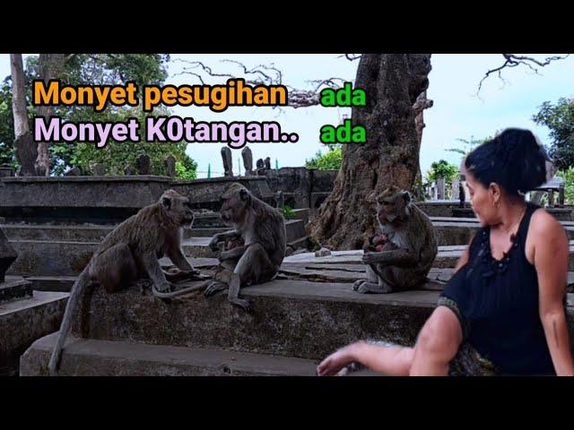 Pesugihan dan Rupa-rupa kehidupan penghuni Bantaran Ngujang Kali Brantas pinggiran kota Tulungagung.