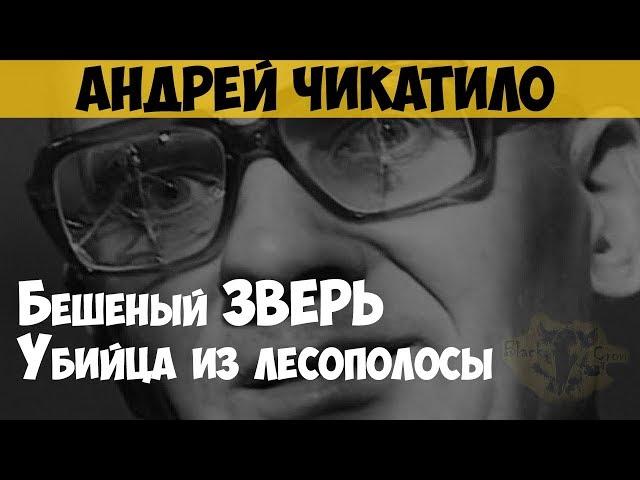 Андрей Чикатило. Убийца из лесополосы. Остановить Чикатило