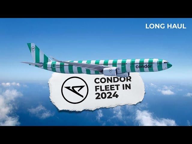 A Successful Airline With A Bold Livery! The Condor Fleet In 2024