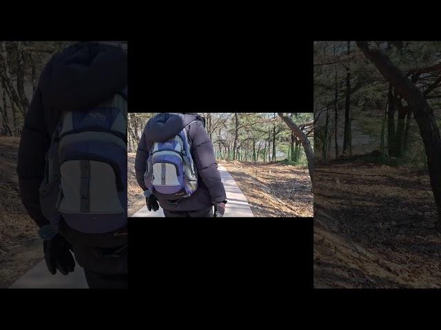 계양산 둘레길 무장애길 #trekking #travel #mountains
