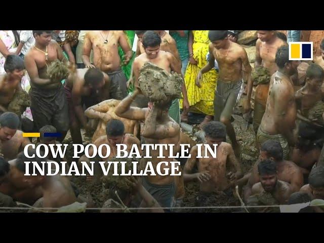 Massive cow dung fight marks end of Diwali festival in Indian village