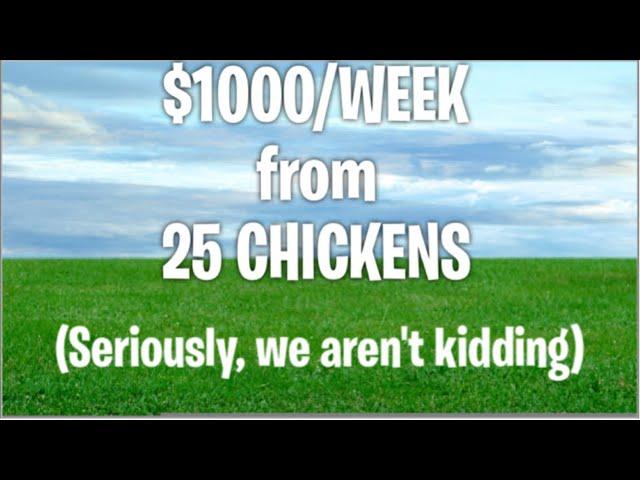 How to make $1000 per week with 25 chickens (really! Not click bait) make money on the homestead