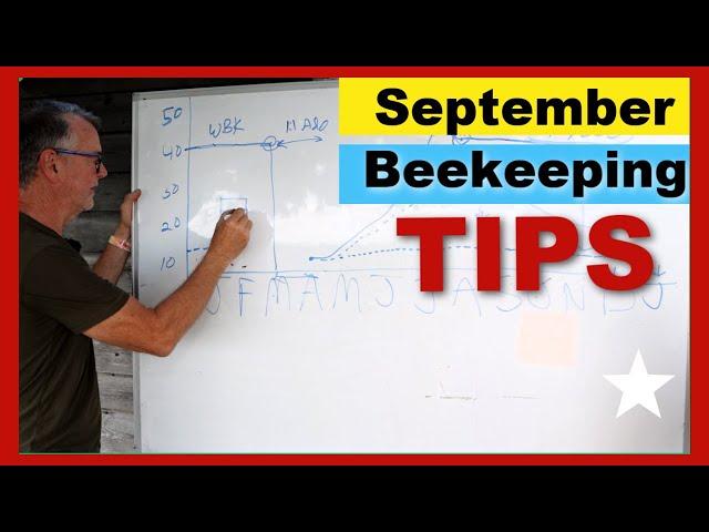 Beekeeping Tips For The Month Of September | Don't Let Winter Kill Your Bees