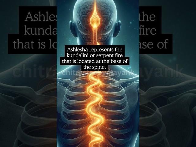 Ashlesha nakshatra in Vedic Astrology 🪱