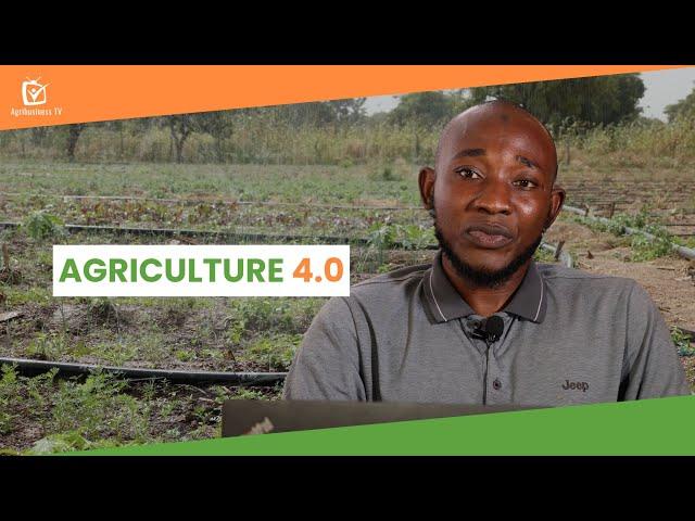 Mali: Agriculture 4.0