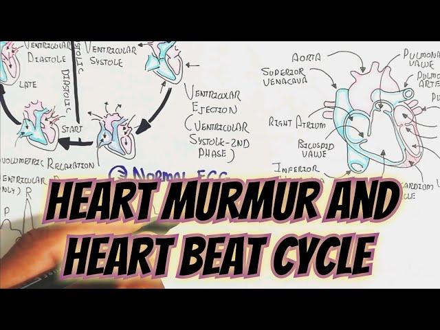 Heart MurMur And Heart Beat Cycle Pathophysiology @umerfarooqbiology7083