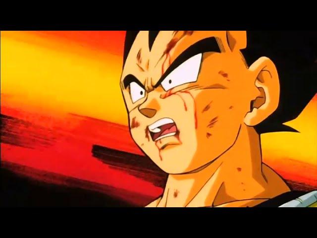 Vegeta's Respect For Goku