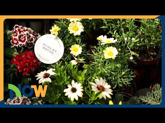 [NOW] Greenhouse healing area, Garden Support Center (온실 힐링 공간, 정원지원센터)