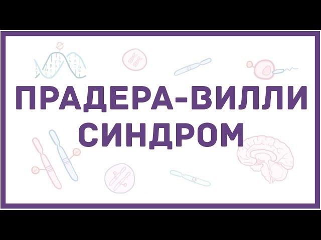 Синдром Прадера-Вилли - механизм развития, причины, клинические проявления