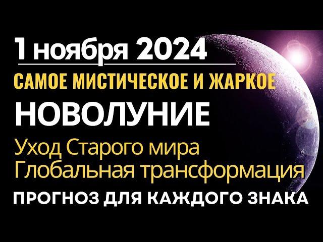 Новолуние 1 ноября 2024: самое Мистическое Новолуние года. Подробный прогноз для каждого знака