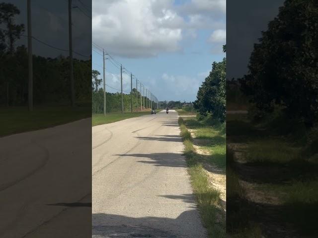 Raptor 700 vs Honda Grom