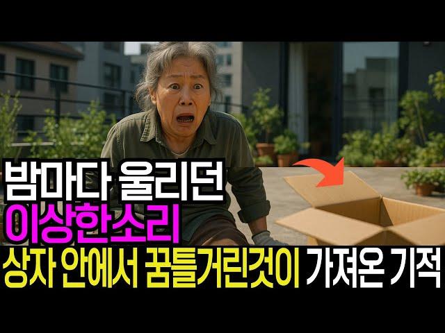 밤마다 울리던 이상한 소리, 상자 안에서 꿈틀거린 것이 가져온 기적 감동실화 사연 오디오북