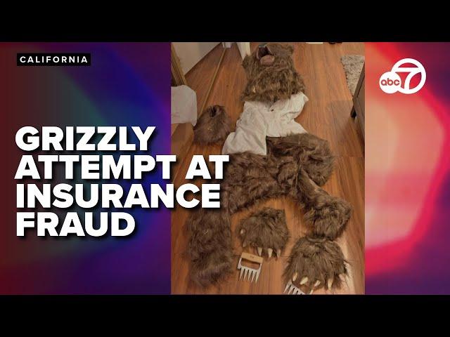 California men use bear costume to pull off bizarre insurance fraud plot