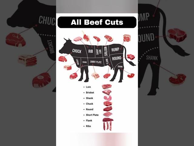 Beef cuts #beefcuts #beef #beefcutting #beefshortribs #advancedenglish #english #ielts