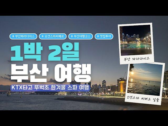 부산여행 1박2일 뚜벅초 코스ㅣ부산파라다이스호텔ㅣ해운대블루라인파크ㅣ오션스파씨메르ㅣ모모스커피ㅣ맛집투어