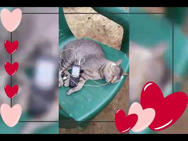 Vijay kumar gupt 2