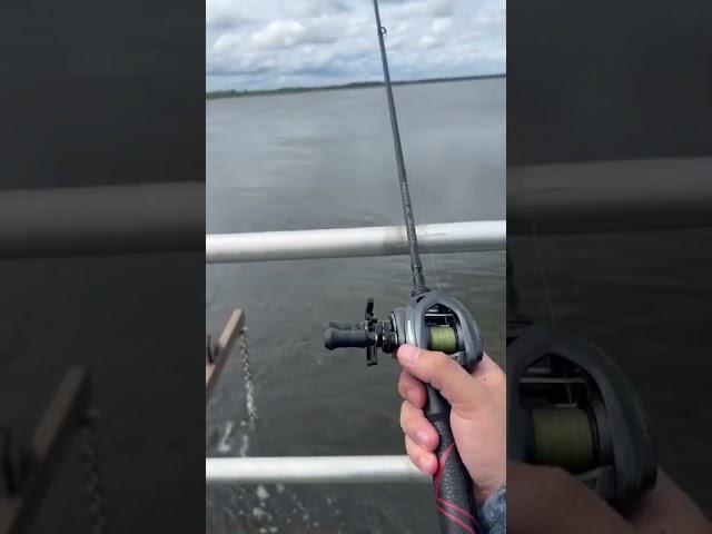 Catching Fish in Saltwater is SO EASY!