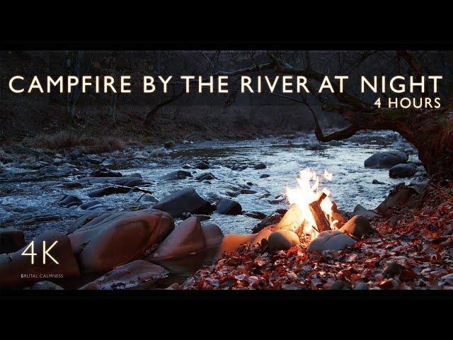 4 h - Campfire by the River at Night | Forest Life Sounds | Owls | Nature Sounds | ASMR Nature | 4K