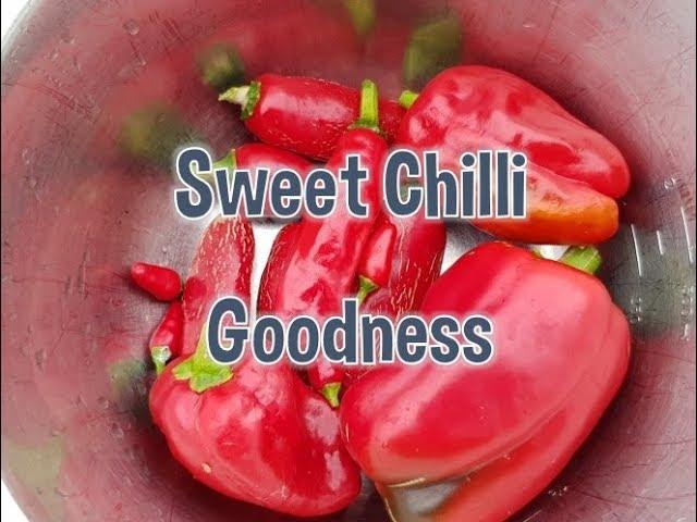 Sweet Chilli Goodness