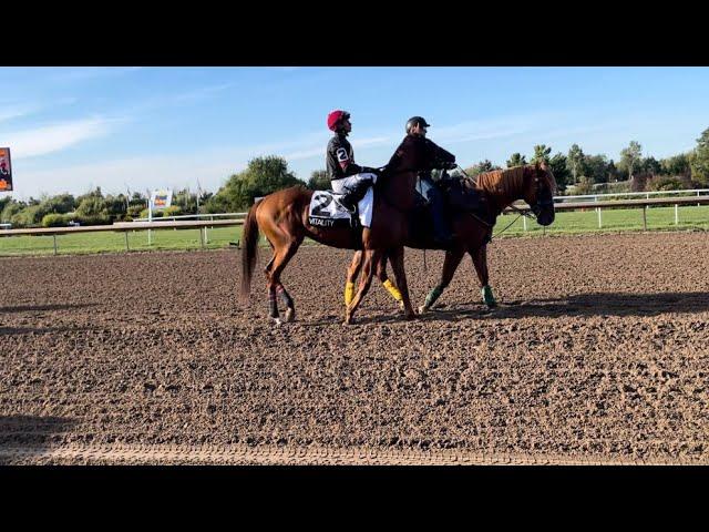 2024 Prince of Wales Stakes post parade