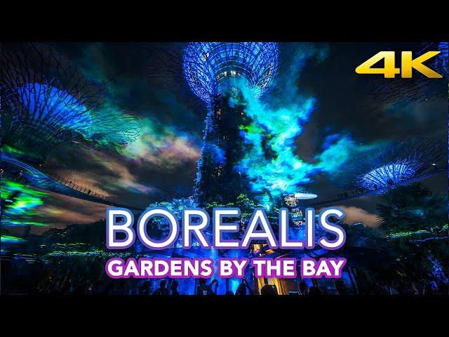 Borealis night experience at Gardens by the Bay | new light show