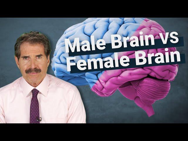 The Science: Male Brain vs Female Brain