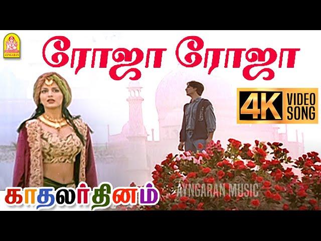 Roja Roja - 4K Video Song | ரோஜா ரோஜா | Kadhalar Dhinam | A.R. Rahman | Kunal | Sonali Bendre