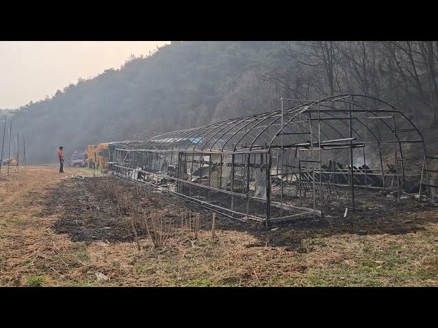 저희 과수원이...24.3.24 16시~17시 상황