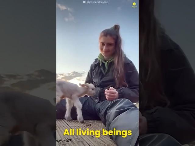 When Animals Love You