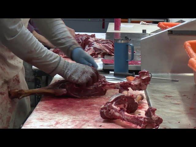 Busy season for Montana meat processing businesses