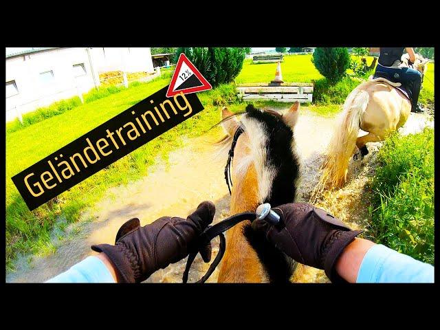  Unser GELÄNDETRAINING - Erfolge & Fails  // Blondis auf Fjordis