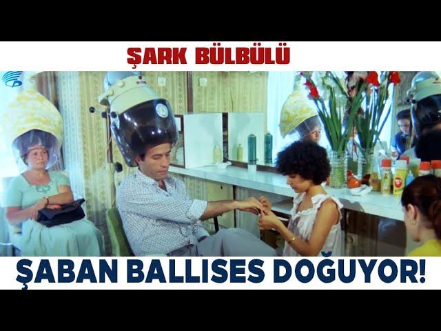 Şark Bülbülü Türk Filmi | Şaban Ballıses Doğuyor! Kemal Sunal Filmleri