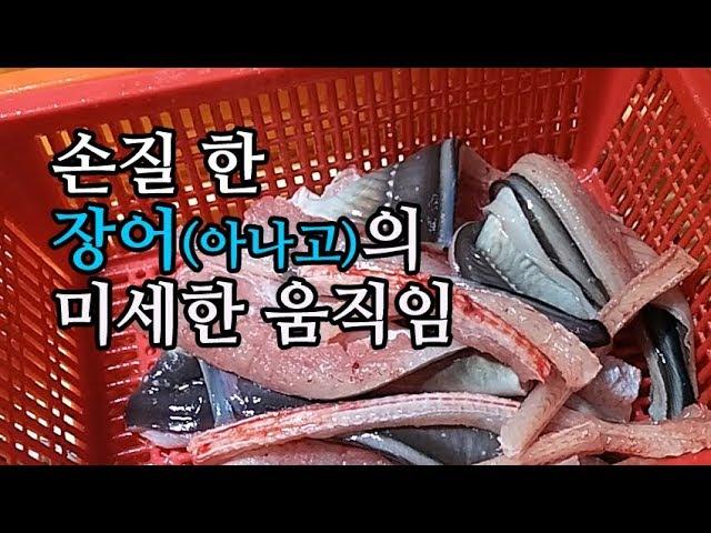 A cutting eel movements