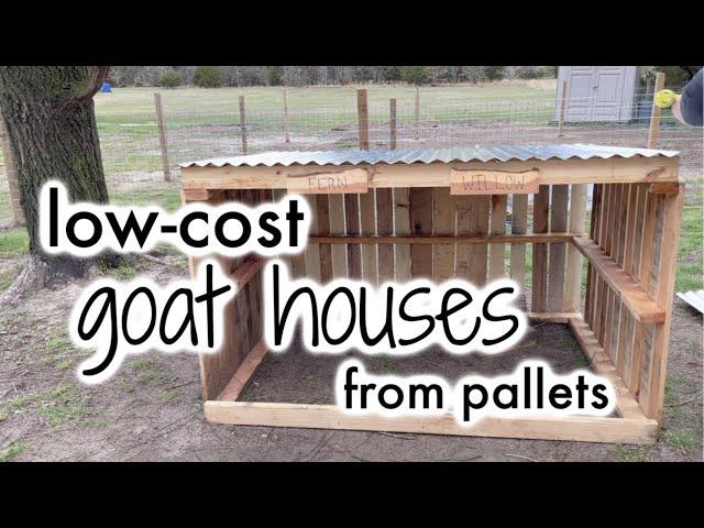 HOMESTEAD VLOG | BUILDING OUR GOAT PENS PART 2 | BUILDING LOW-COST GOAT HOUSES