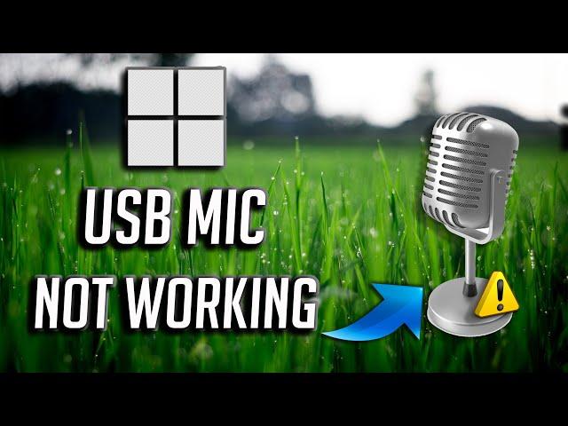 Fix USB Microphone Not Working On Windows 11/10 [SOLVED]