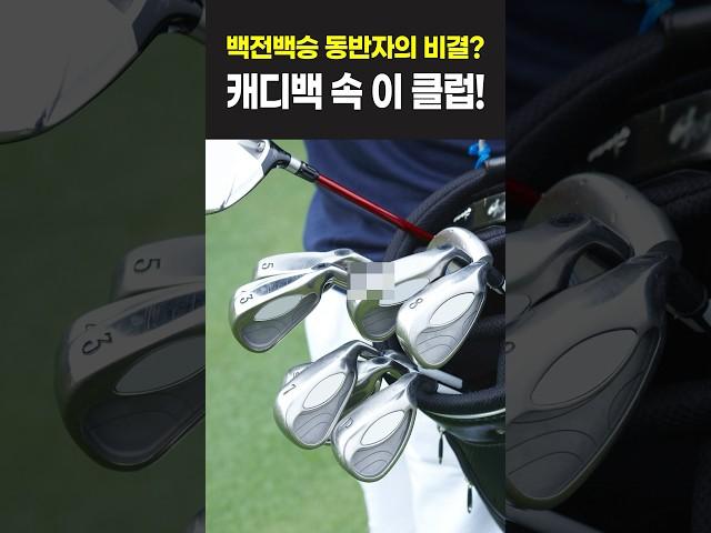 드라이빙아이언 비거리 얼마나 나갈까?