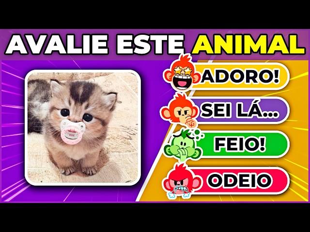 AVALIE O ANIMAL FOFO |‍⬛ ANIMAIS FOFINHOS | O Jogo das escolhas mais lindinhas #quiz #macaquiz