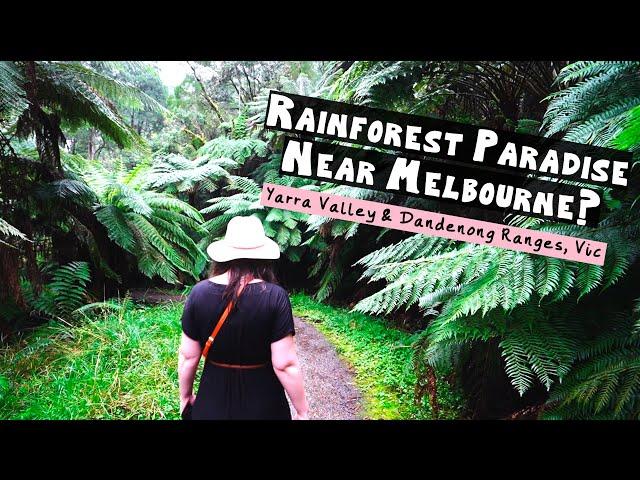 Yarra Valley & Dandenong Ranges | Day Trip Ideas