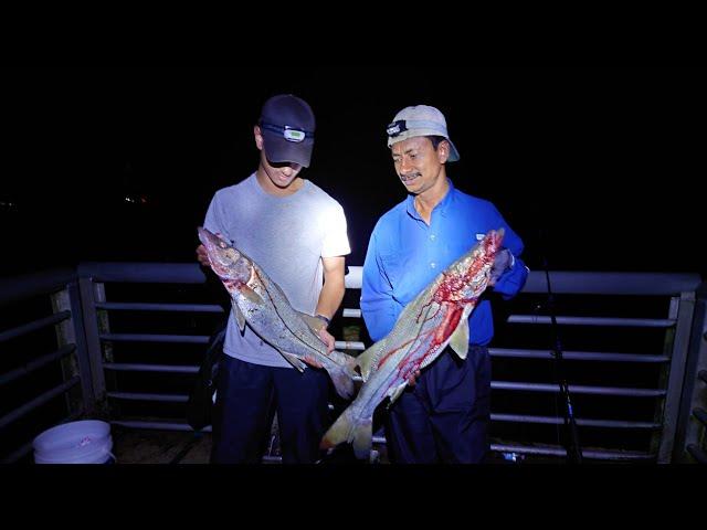 Fishing at Sebastian Inlet to catch a shark but failed? (Snook)