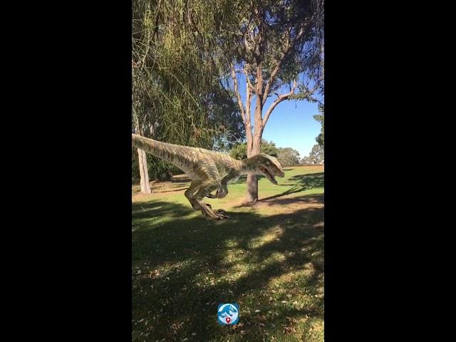 Jurassic World Alive AR - Echo the Raptor