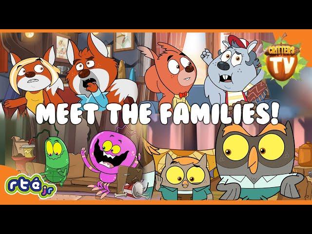 Meet the Animal Families on Critters TV! ️  | Compilation | @RTÉjr