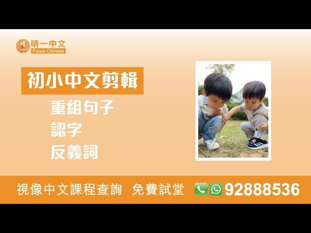 [初小基礎班] 初小中文基礎班剪輯 (晴一課堂示範)
