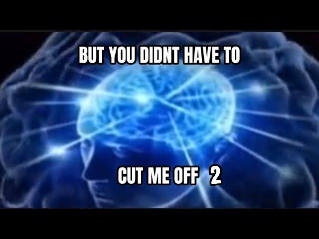 But you didn’t have to cut me off memes 2