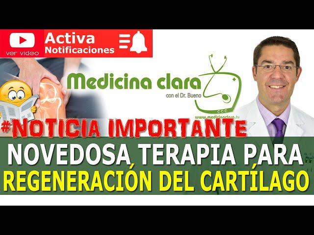 REGENERACION del CARTILAGO de FORMA EFICAZ ¡Nuevo descubrimiento! | Medicina Clara