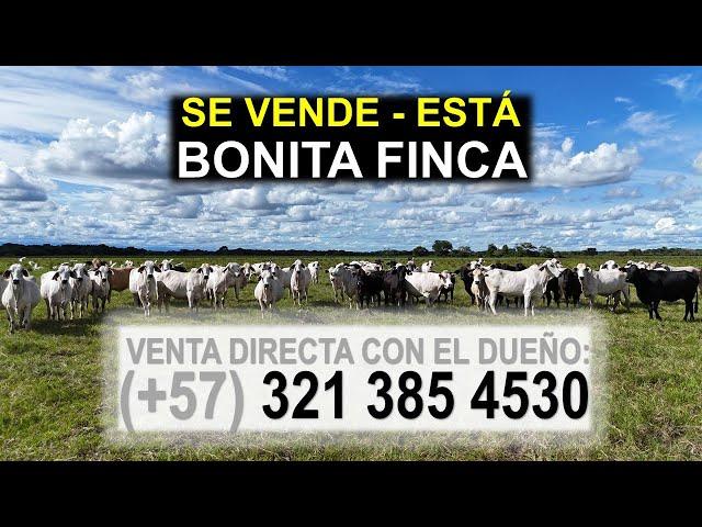 SE VENDE - ESTÁ BONITA FINCA "GANADERA" - Venta directa con el dueño: (+57) 321 385 4530